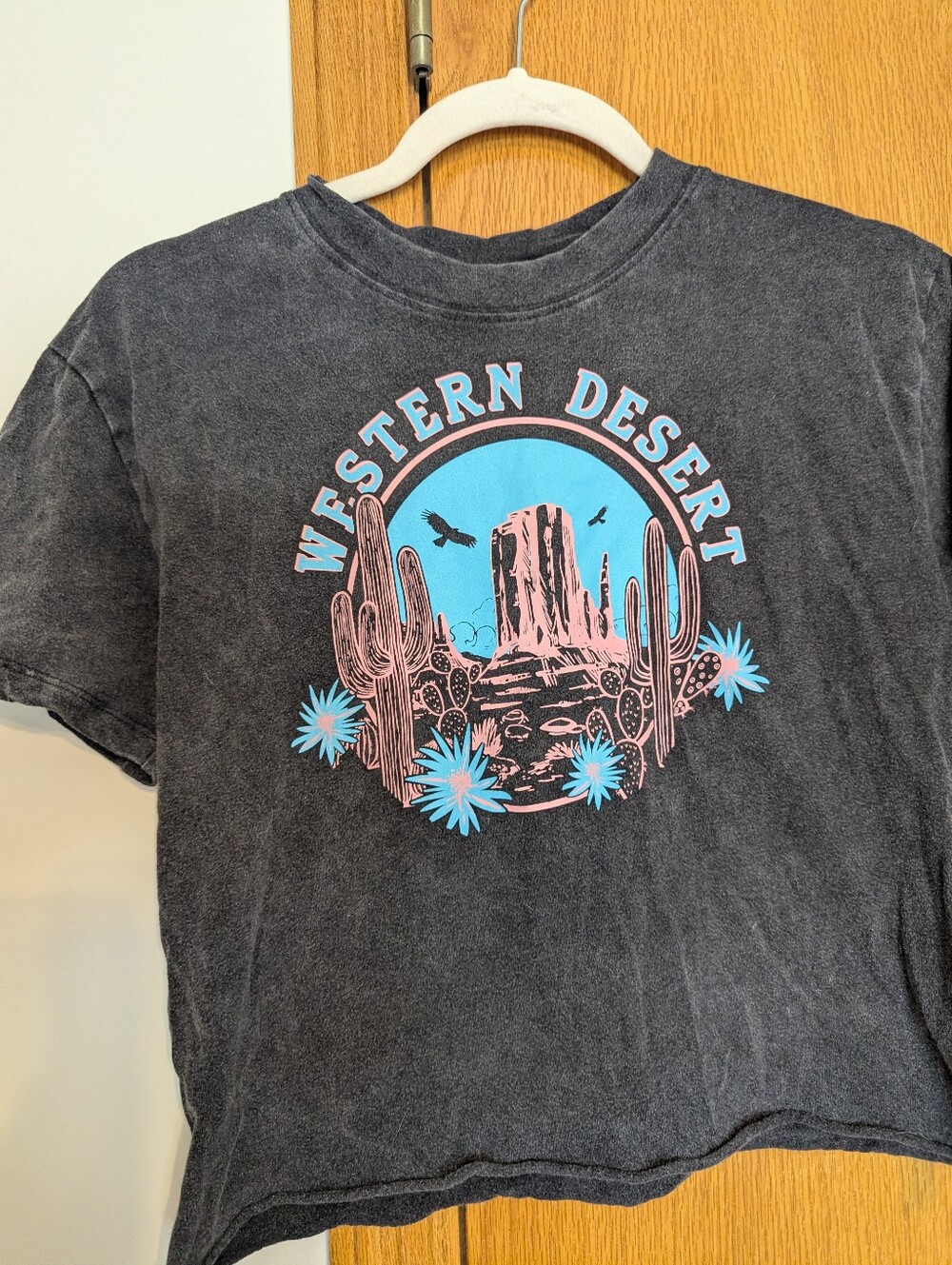 Western Desert Graphic Tee - Black with Blue & Pink Print
